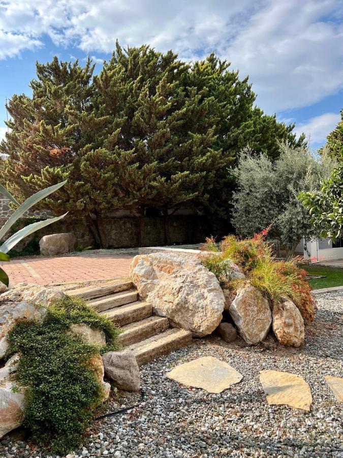 Cute Home, Modern 2 1 Stand Alone House With Garden, Near The *