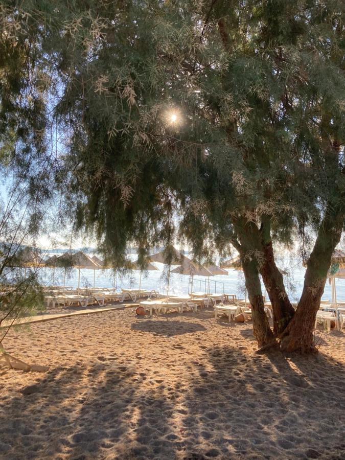 Cute Home, Modern 2 1 Stand Alone House With Garden, Near The Holiday home Bodrum