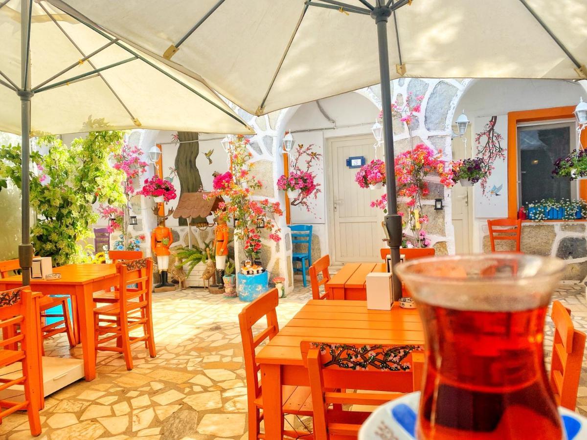 Sade Bodrum