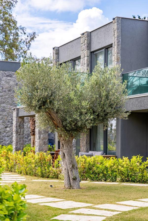Villa Ares Yalikavak *