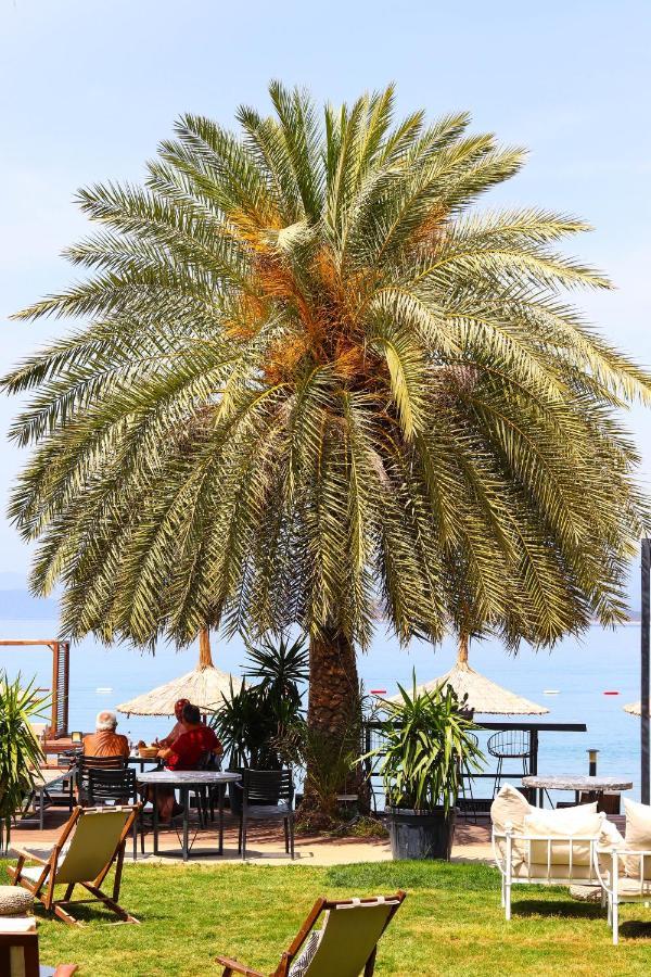 Otel Moyo Luxury &