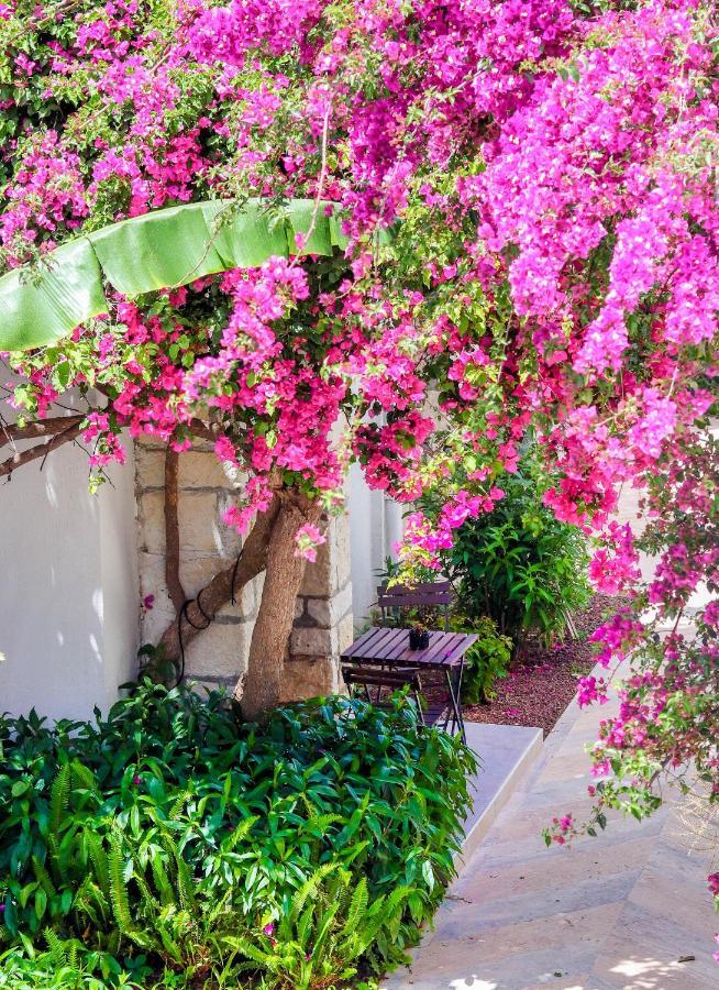 Otel Moyo Luxury &