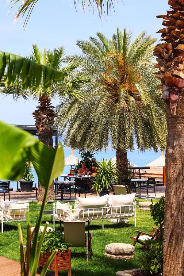 Moyo Luxury & Bodrum