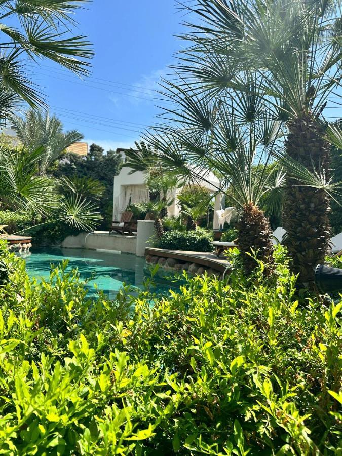 Munahan Bodrum