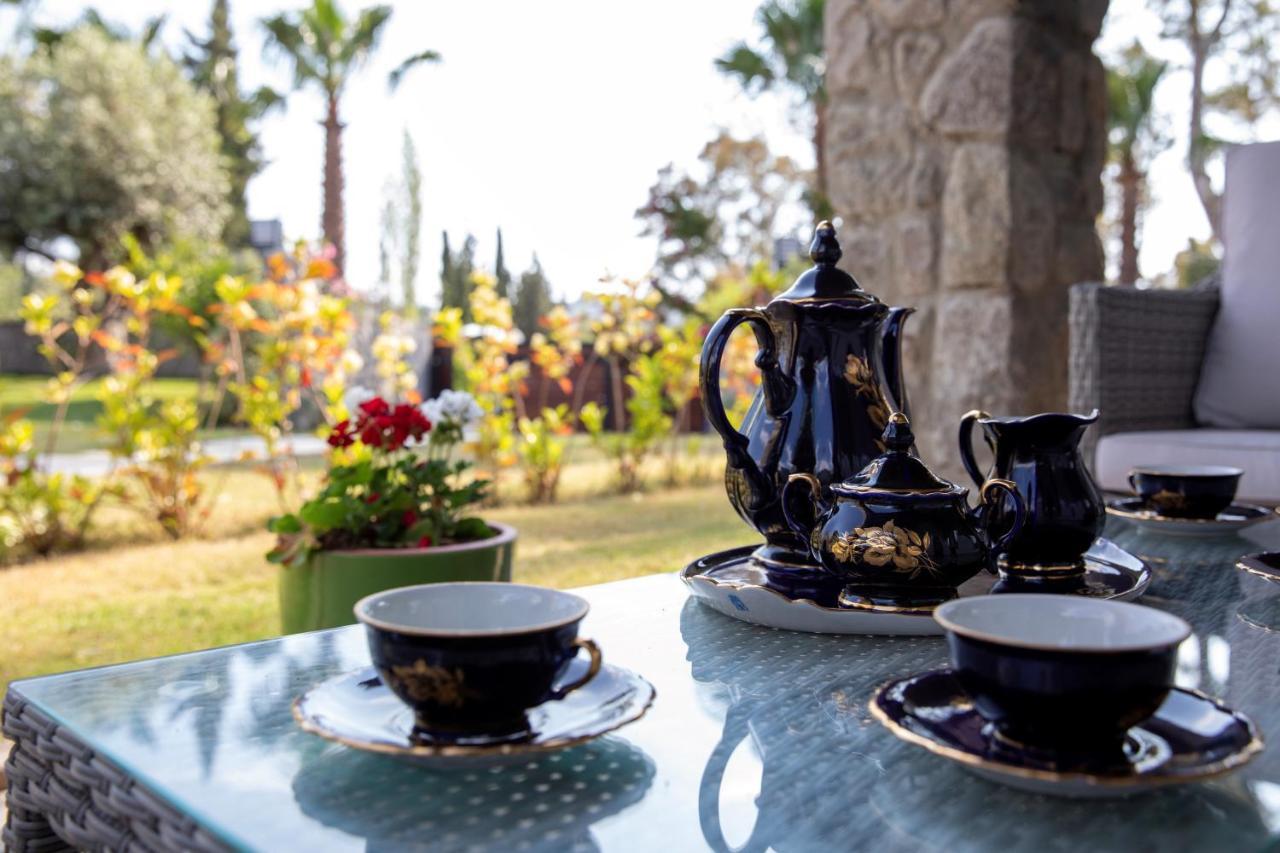 Ares Yalikavak Villa
