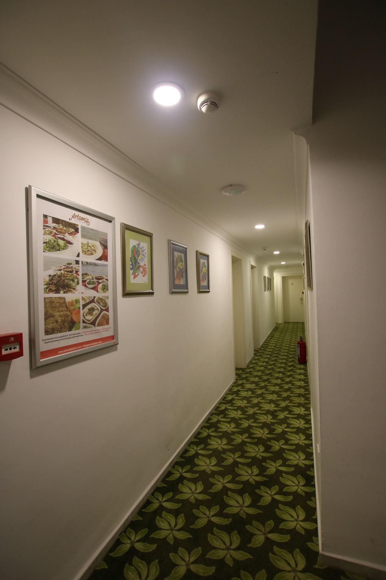 Hotel Artemis Bodrum