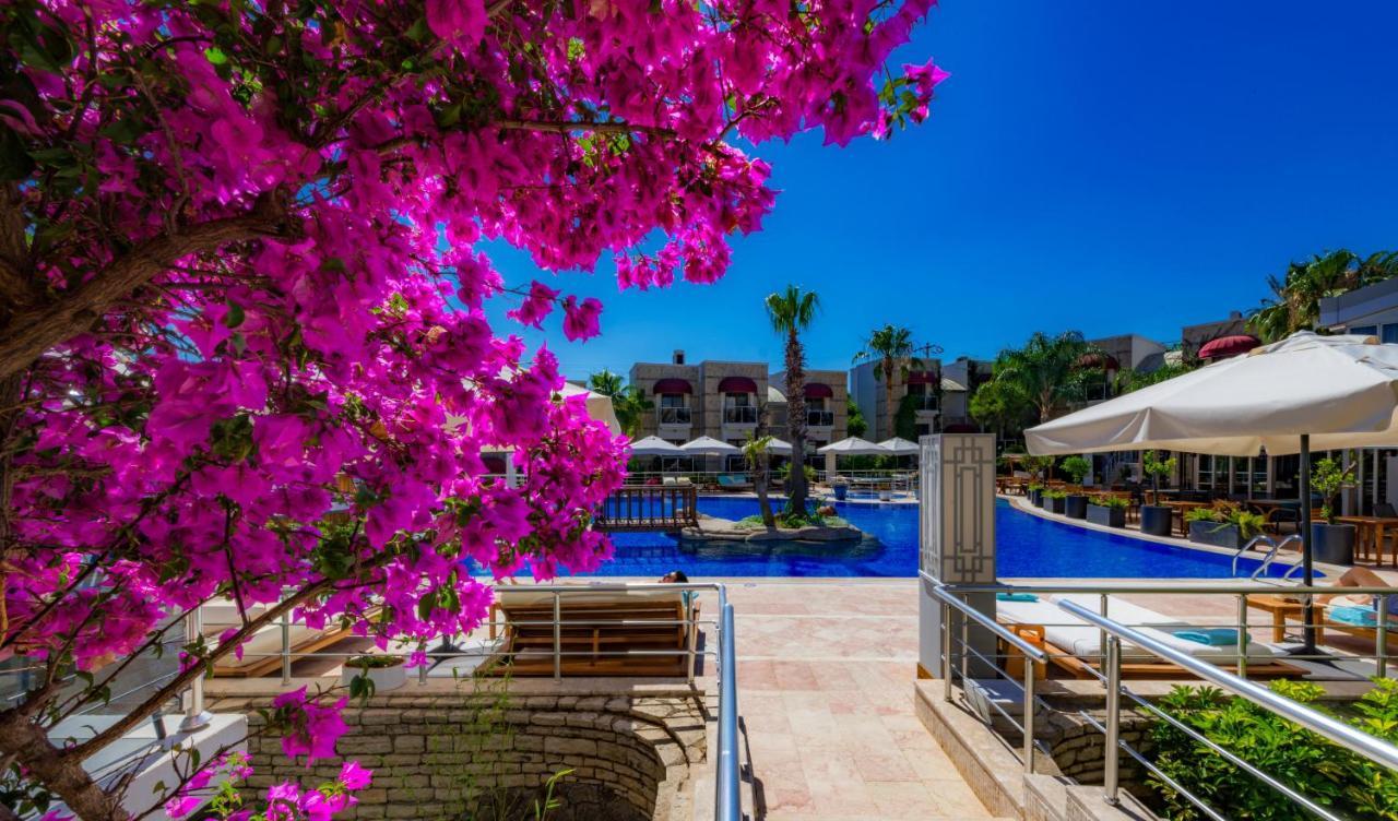 Bodrium Hotel&spa 4*