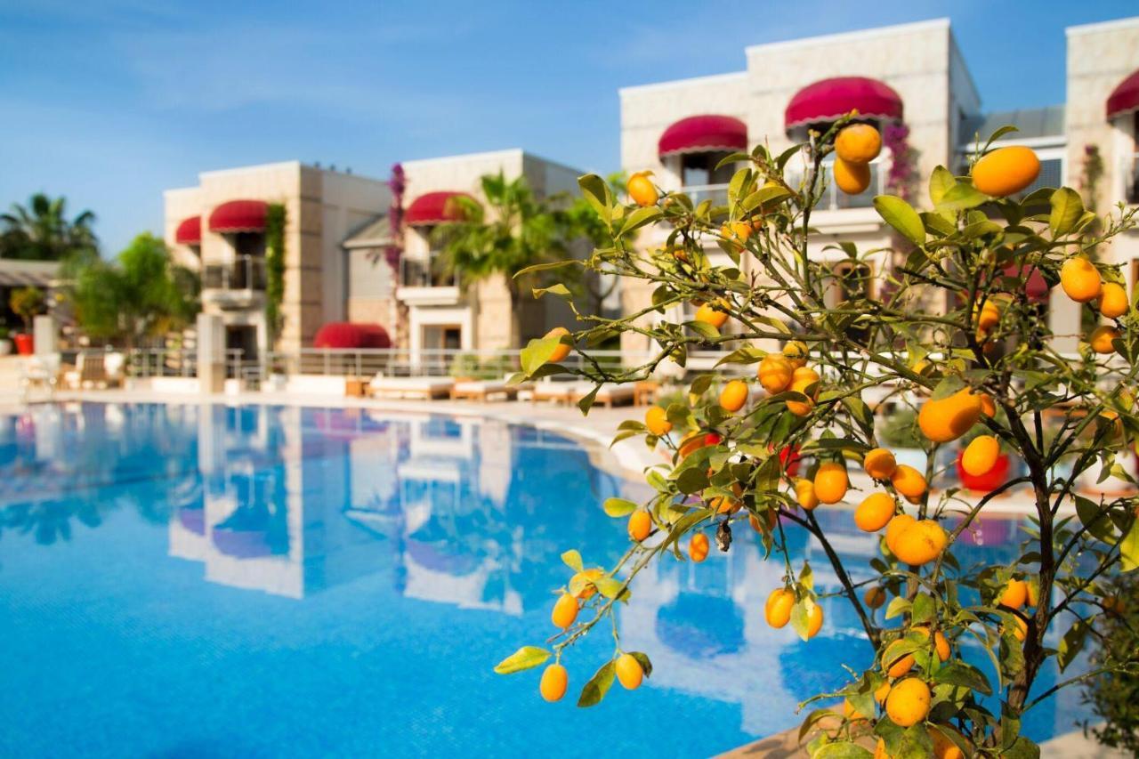 Bodrium Hotel&spa 4* Bodrum