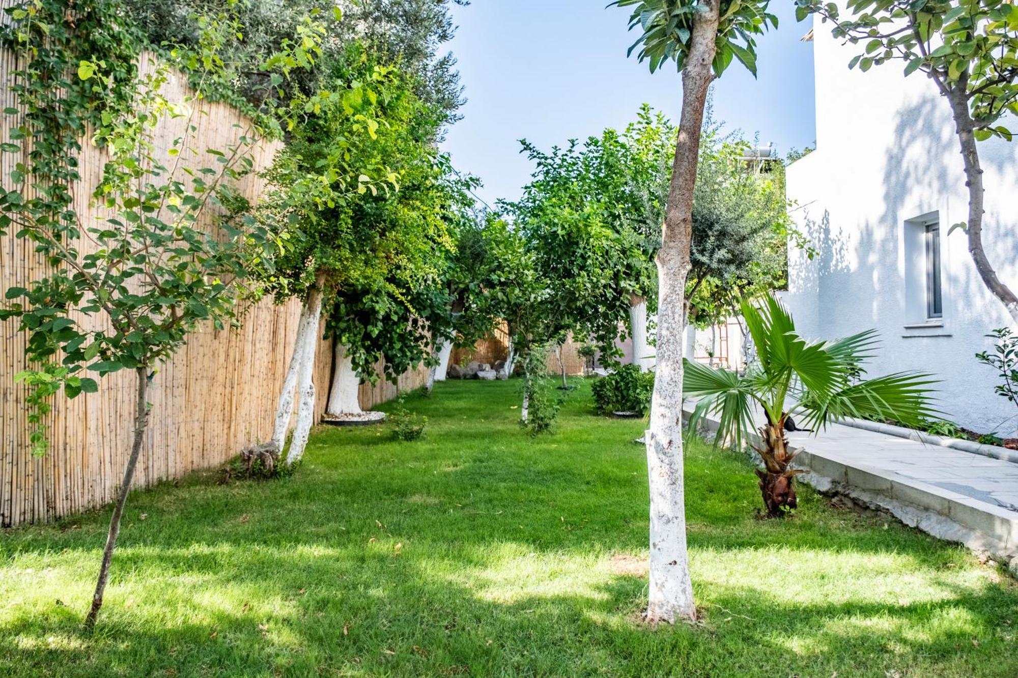 Otel Costa Maya 3*