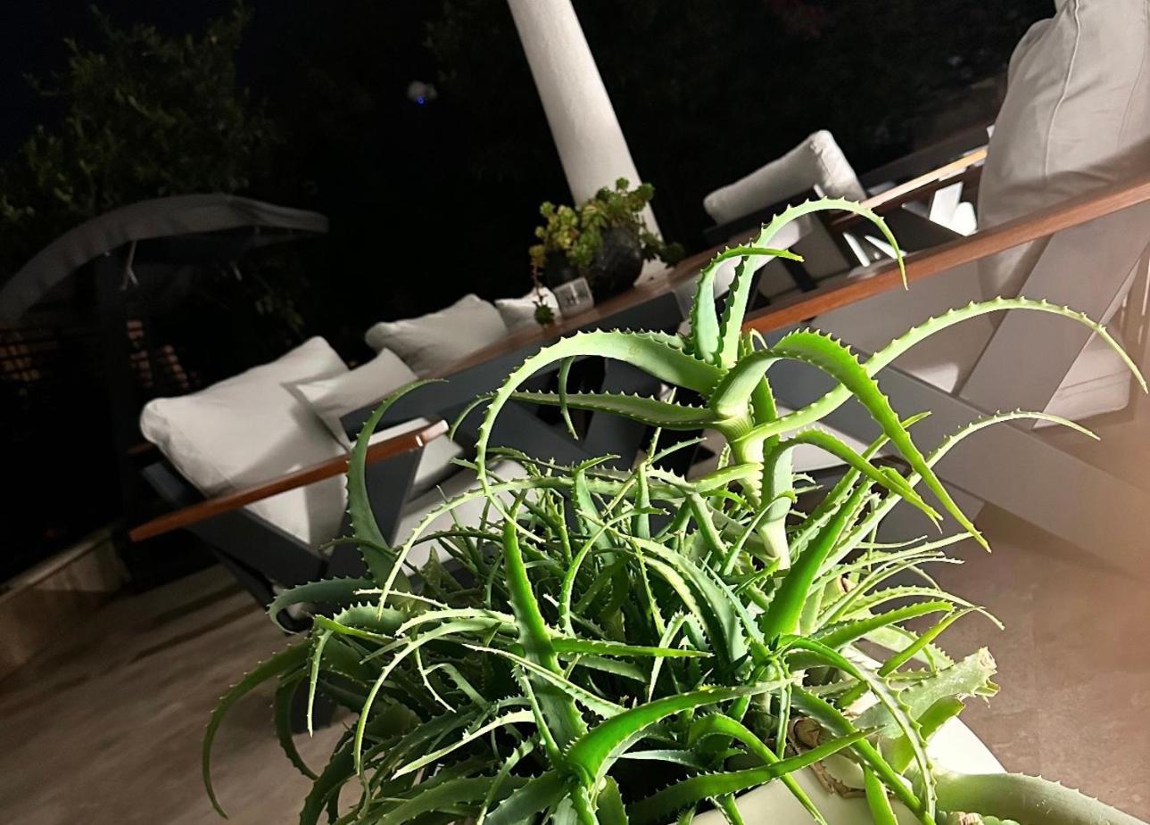 Apart Otel Noa Only Adult *
