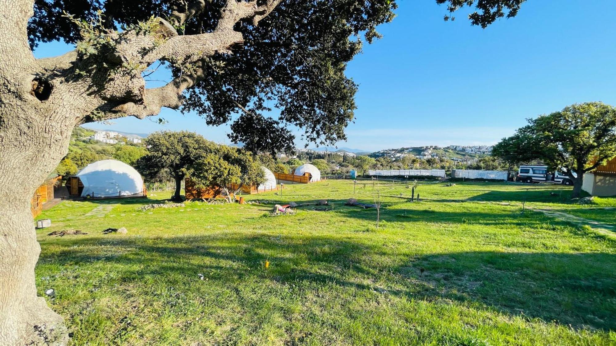 Dome Luxury tent