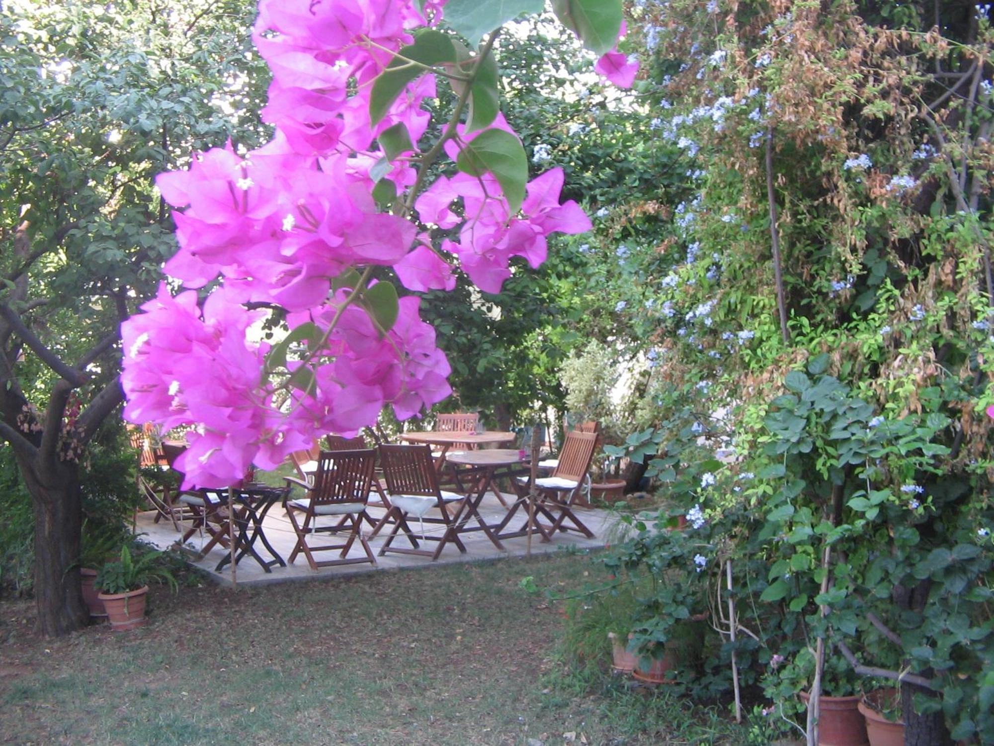 Hotel Gulec 2*