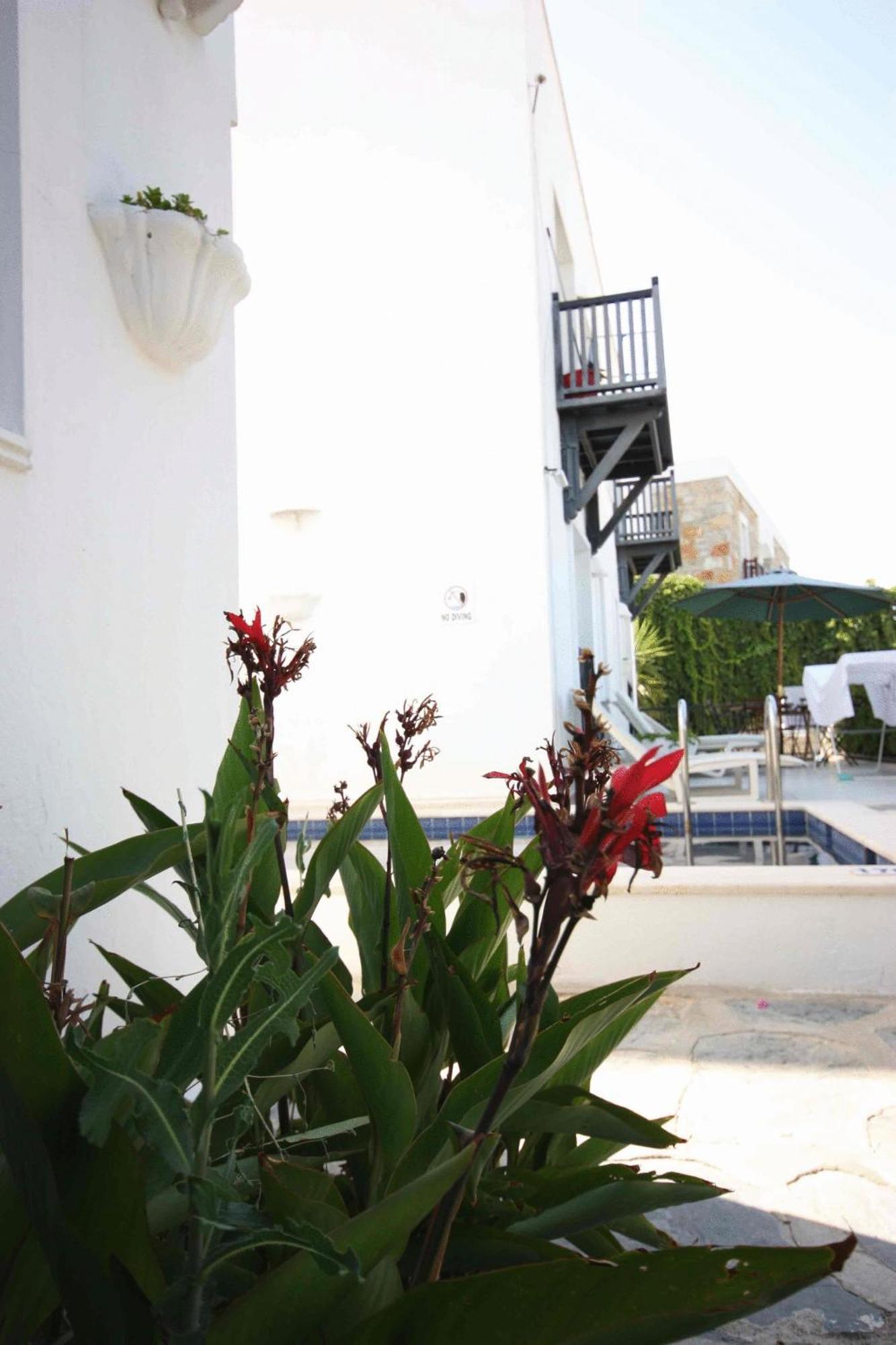 Emelce Apart Bodrum