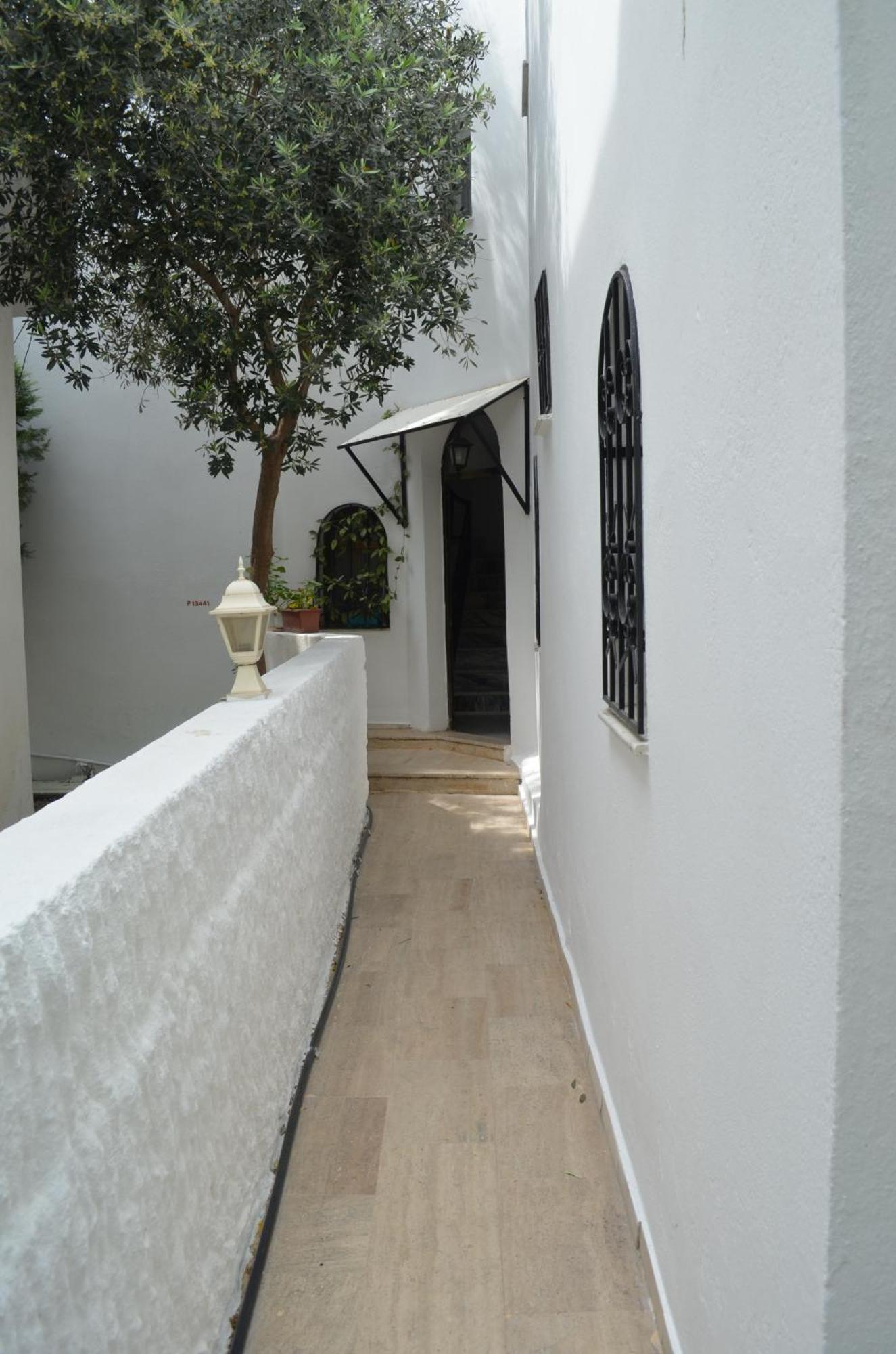 Tay Bodrum