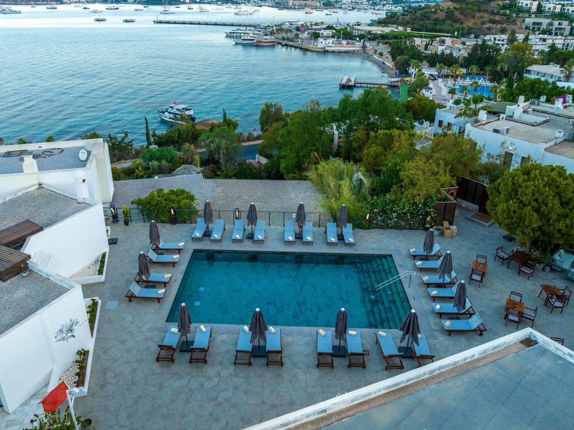 Senses - Adults Only 4*