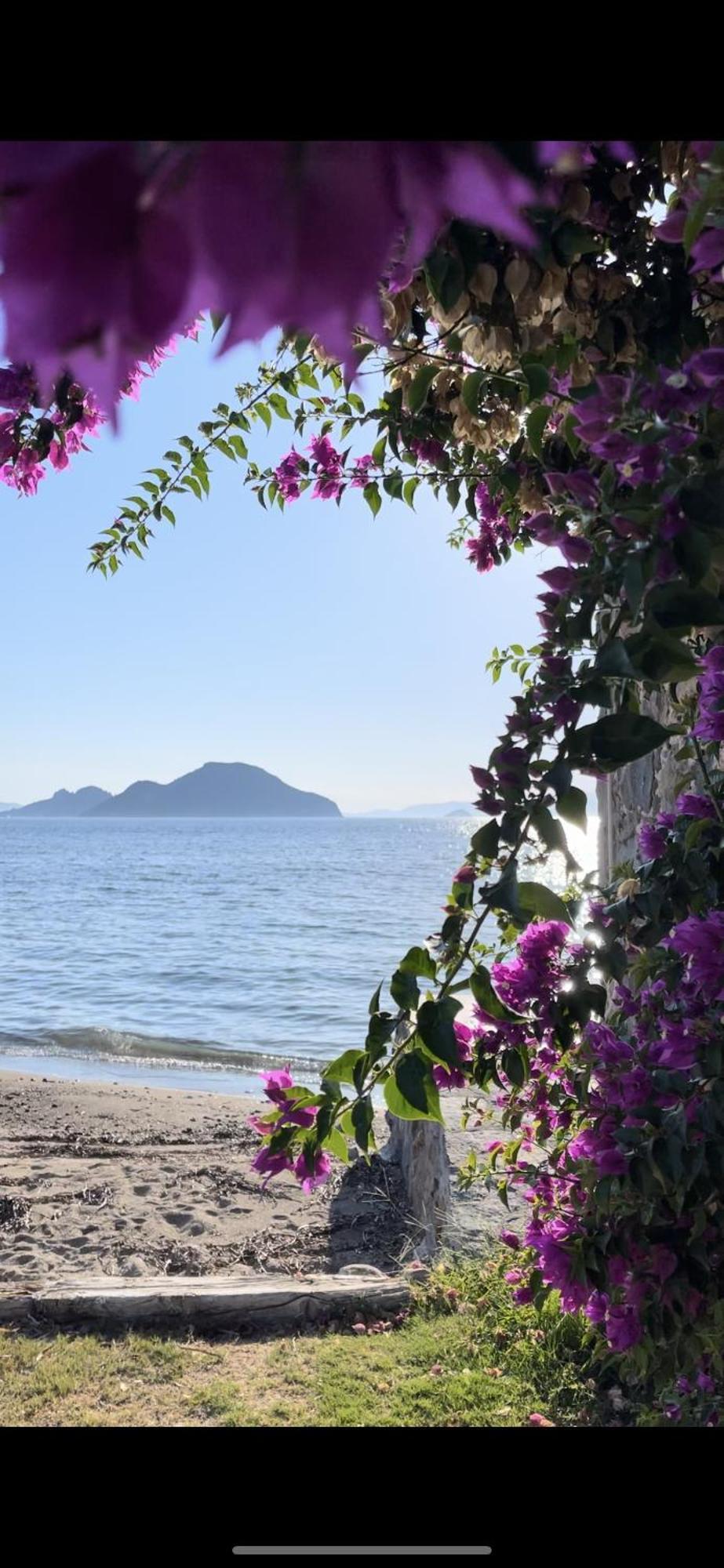 Villa Di Mare *