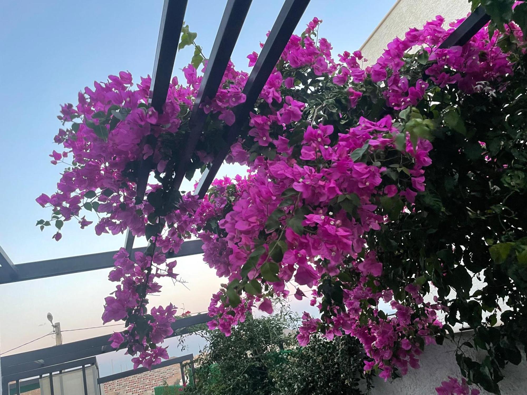 Villa Bodrumda Deniz Ve Doga Manzarali Full Esyali Lueks Bodrum