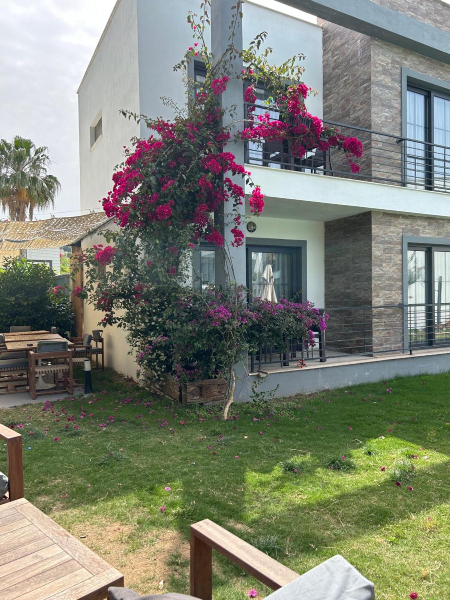 Malta 4*