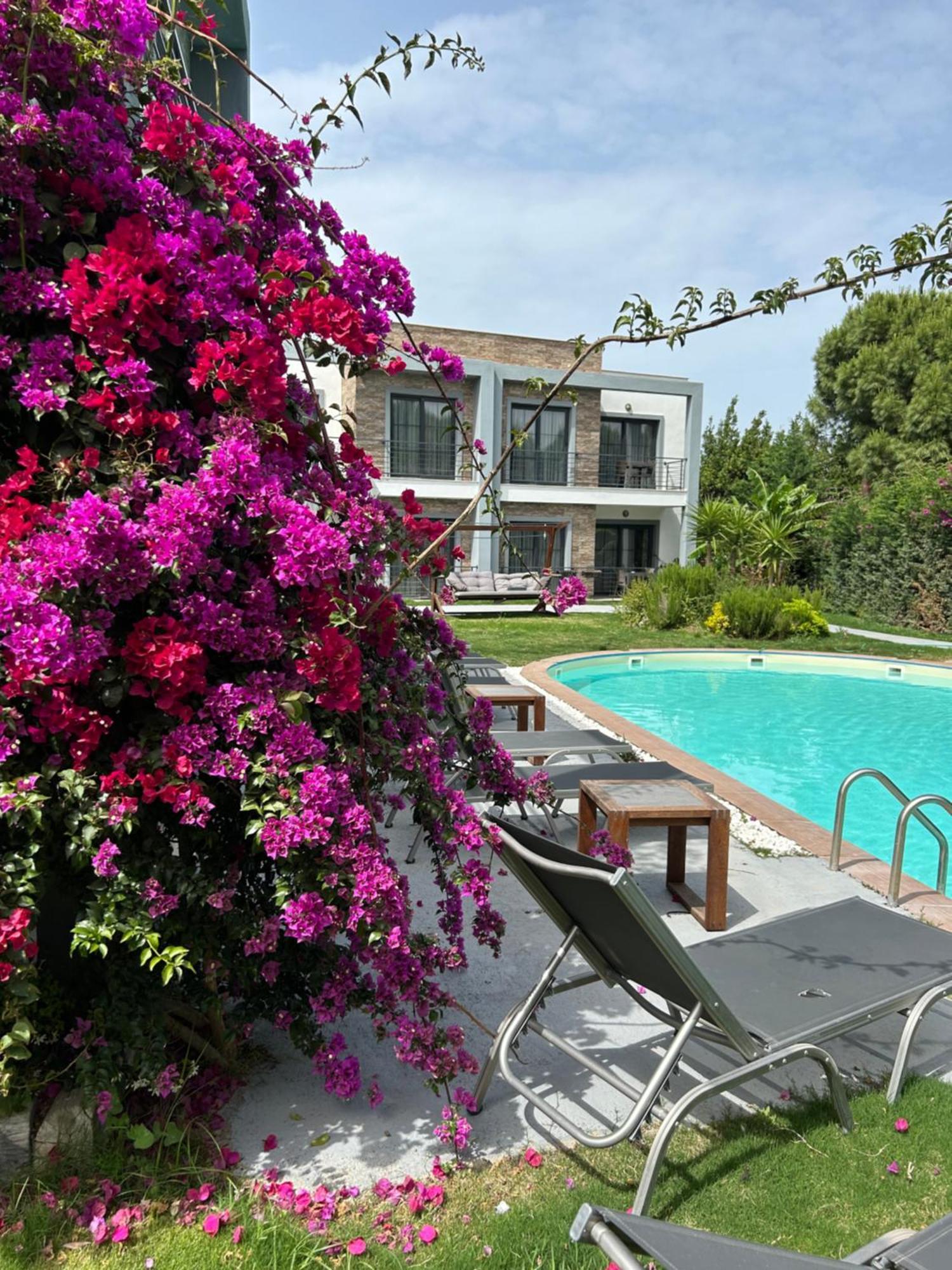 Malta Hotel 4*