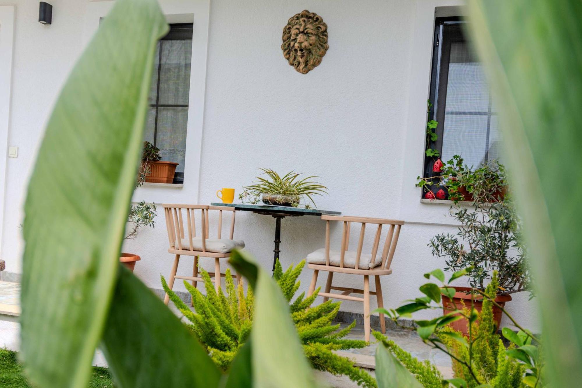 Acomodação com café da manhã  Arden's House