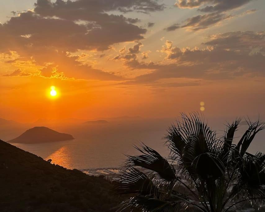 Gaia - Sea View With Private Pool Bodrum