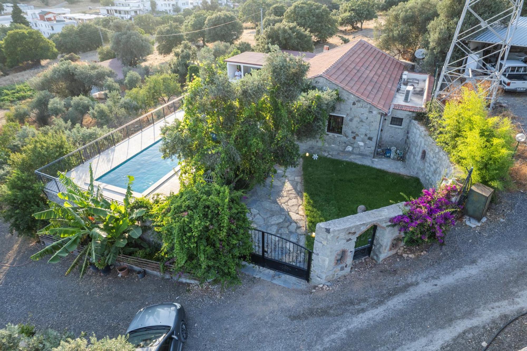 Villa Daisy By Evtatilim *