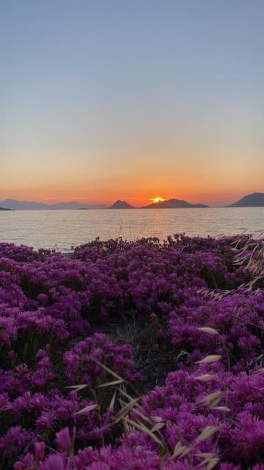 Bodrum Bodrum