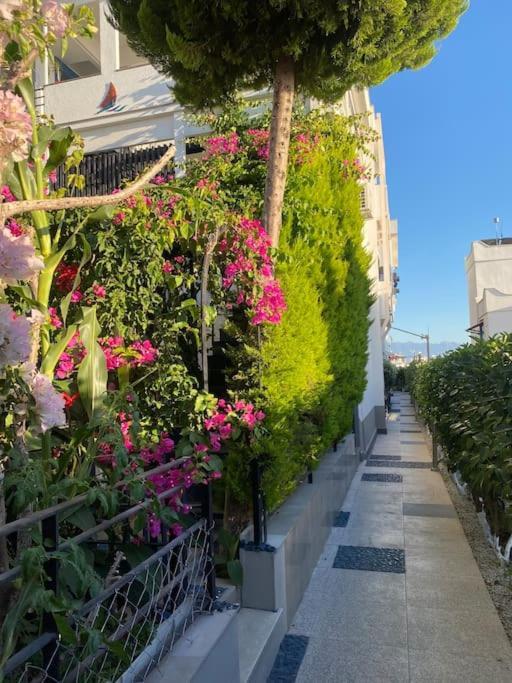 Bodrum Apartment Bodrum