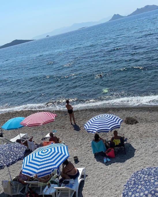 Bodrum * Bodrum