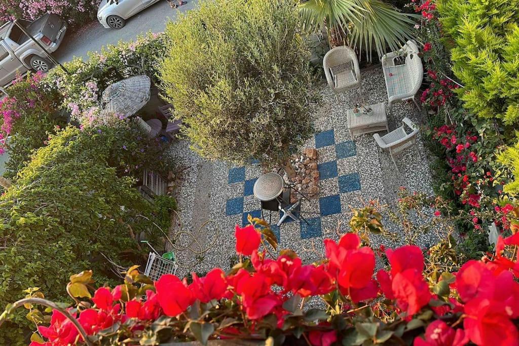 Bodrum * Bodrum