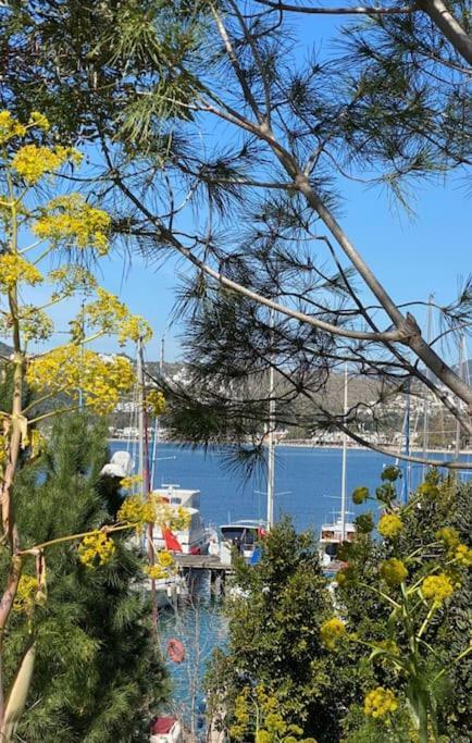 Bodrum