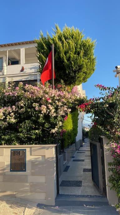 Bodrum *