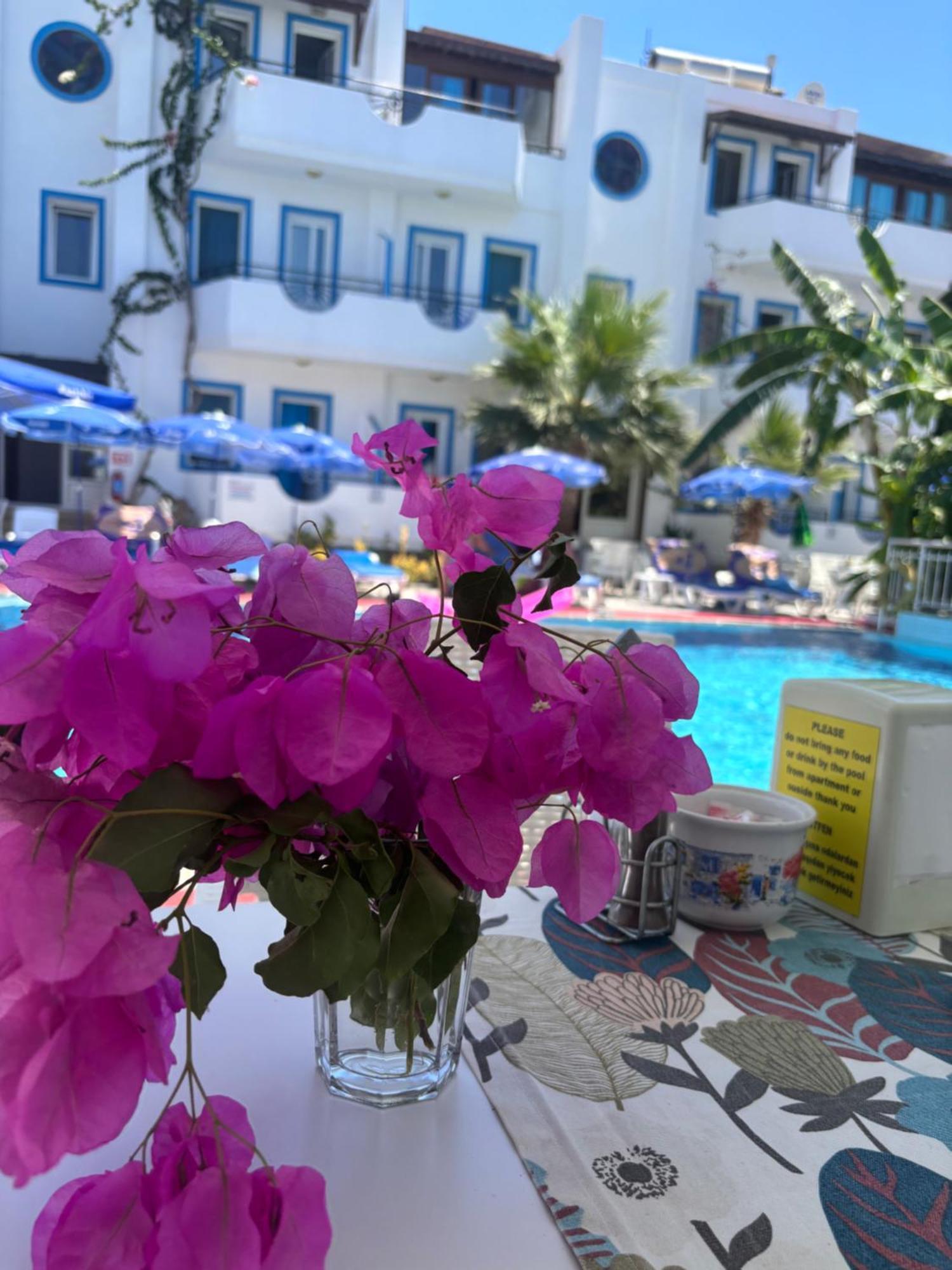 Aparthotel Palmiye