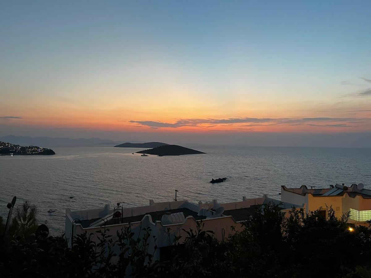 Villa In Yalikavak, Panoramic Sea View And *