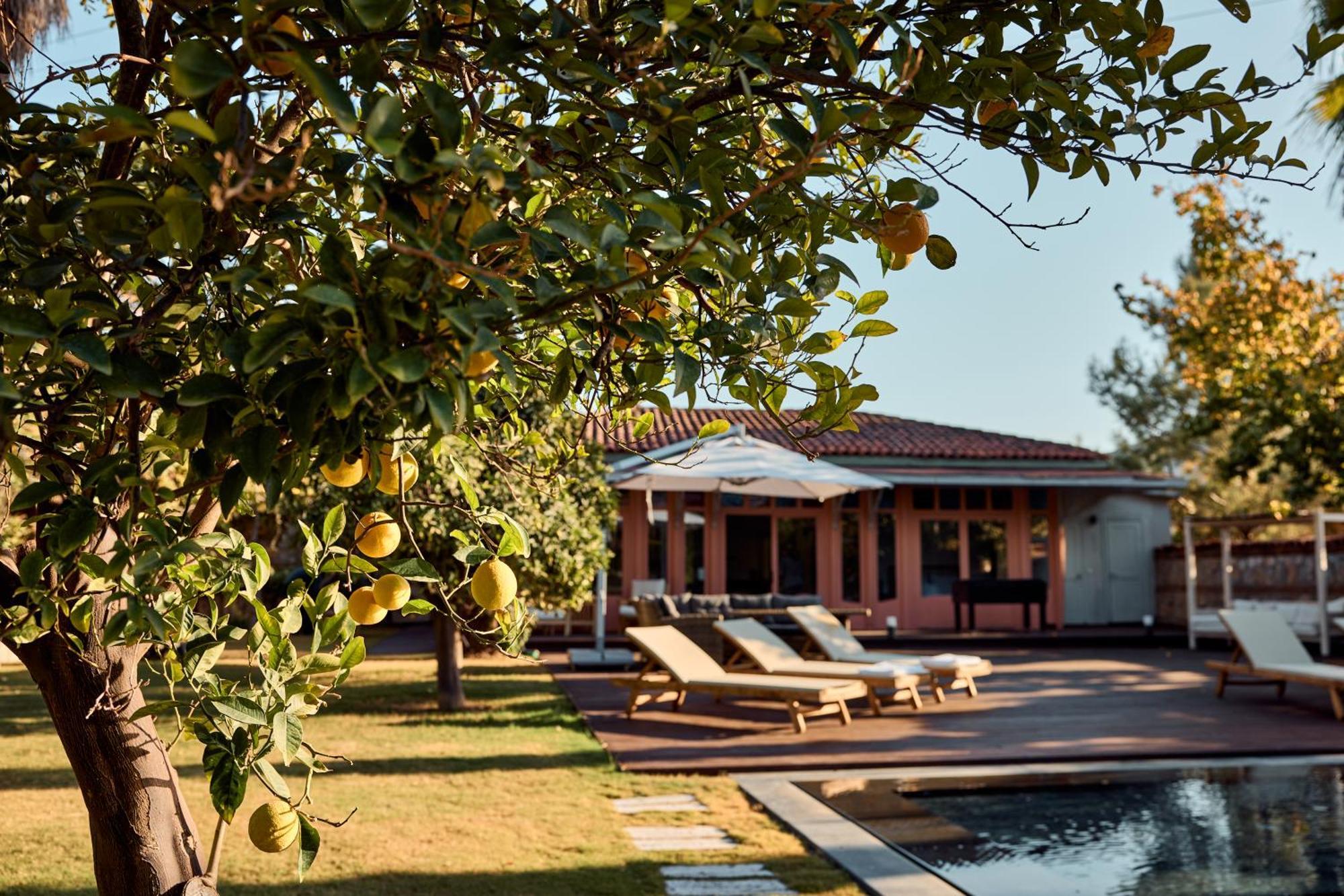Villa Jungle Eva Bodrum
