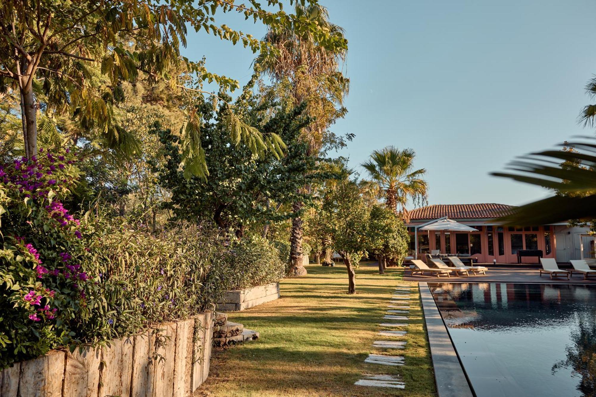 Jungle Eva Villa