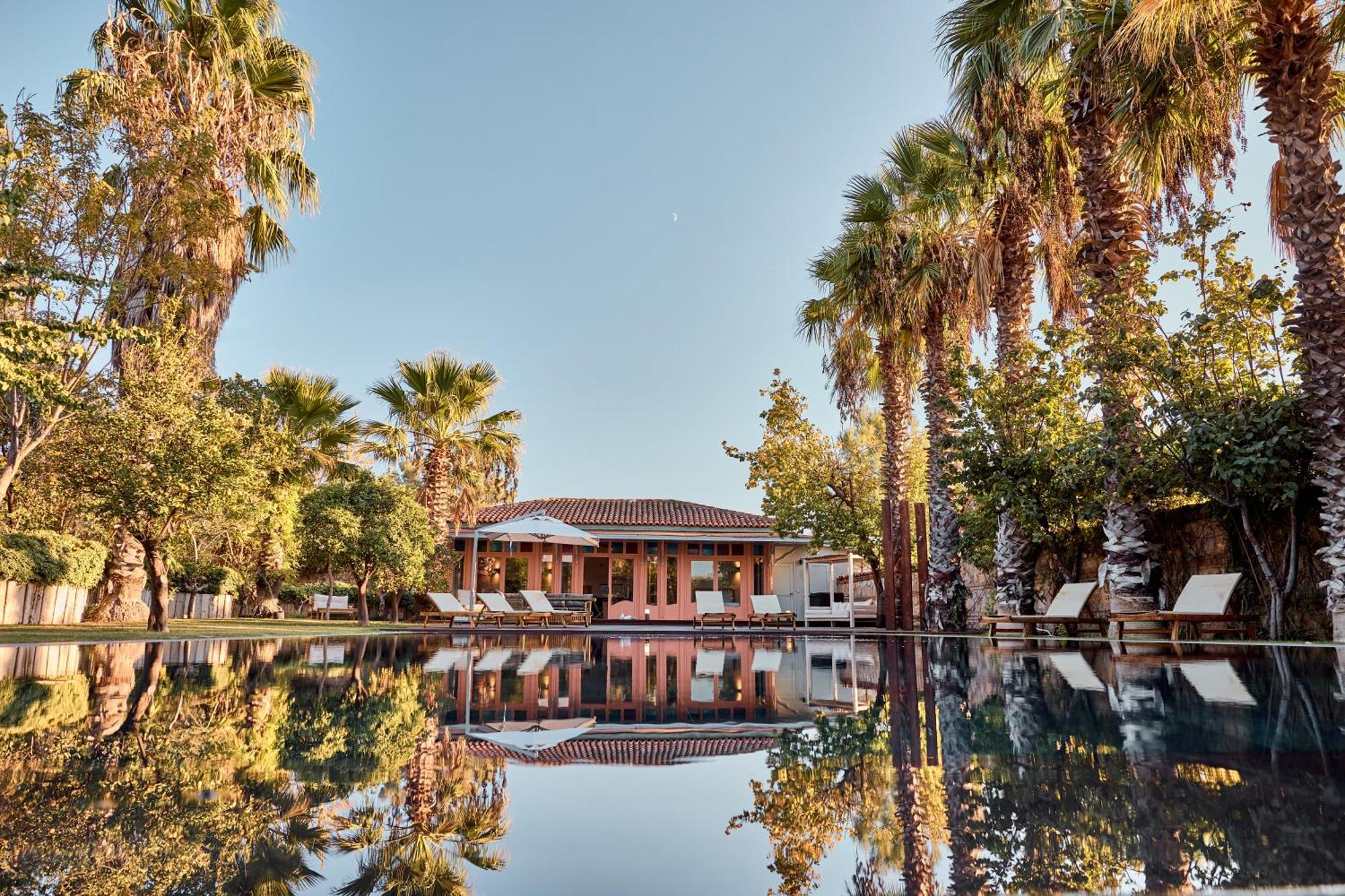 Jungle Eva * Bodrum