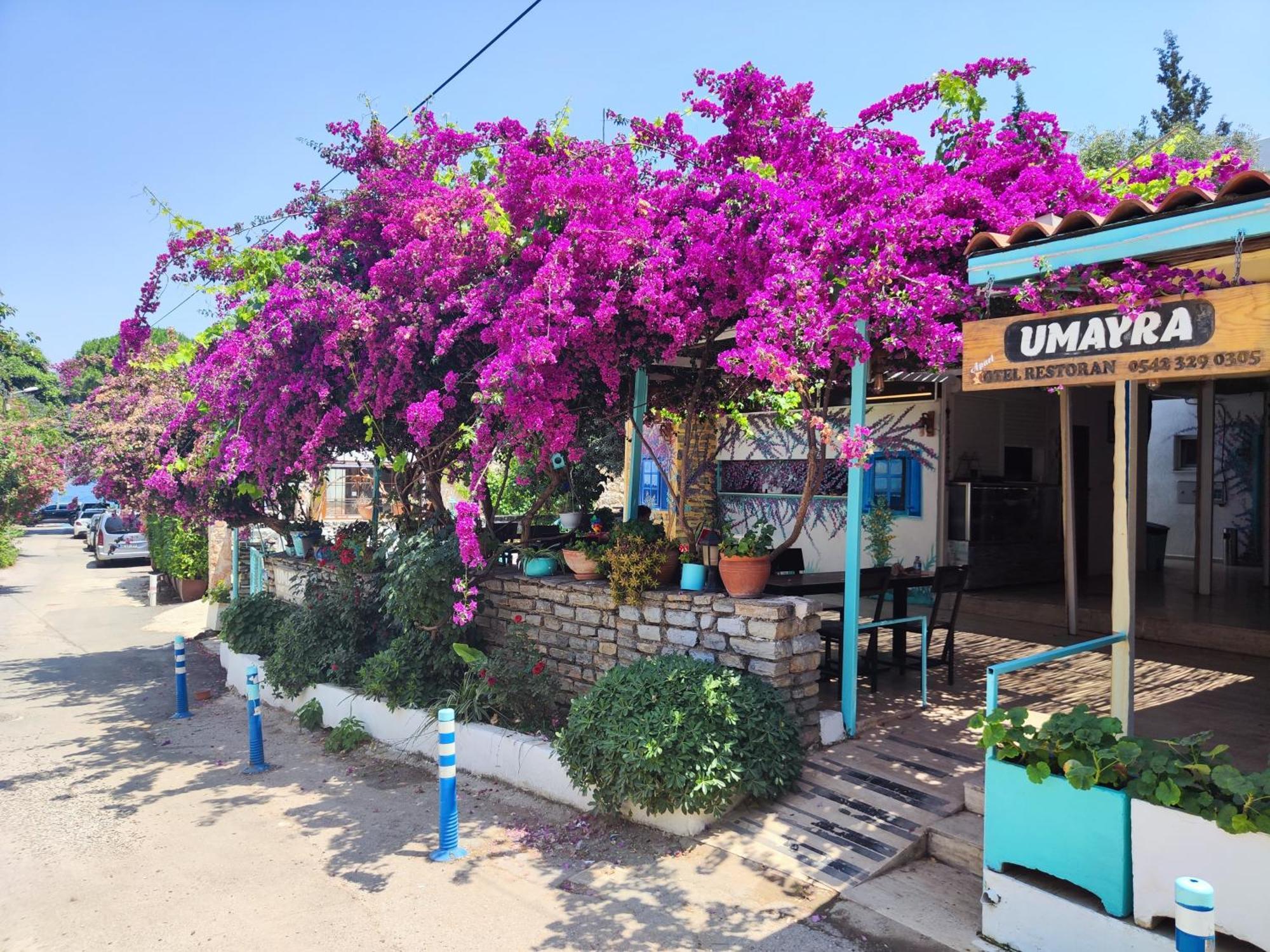 Hotel Umayra Bodrum