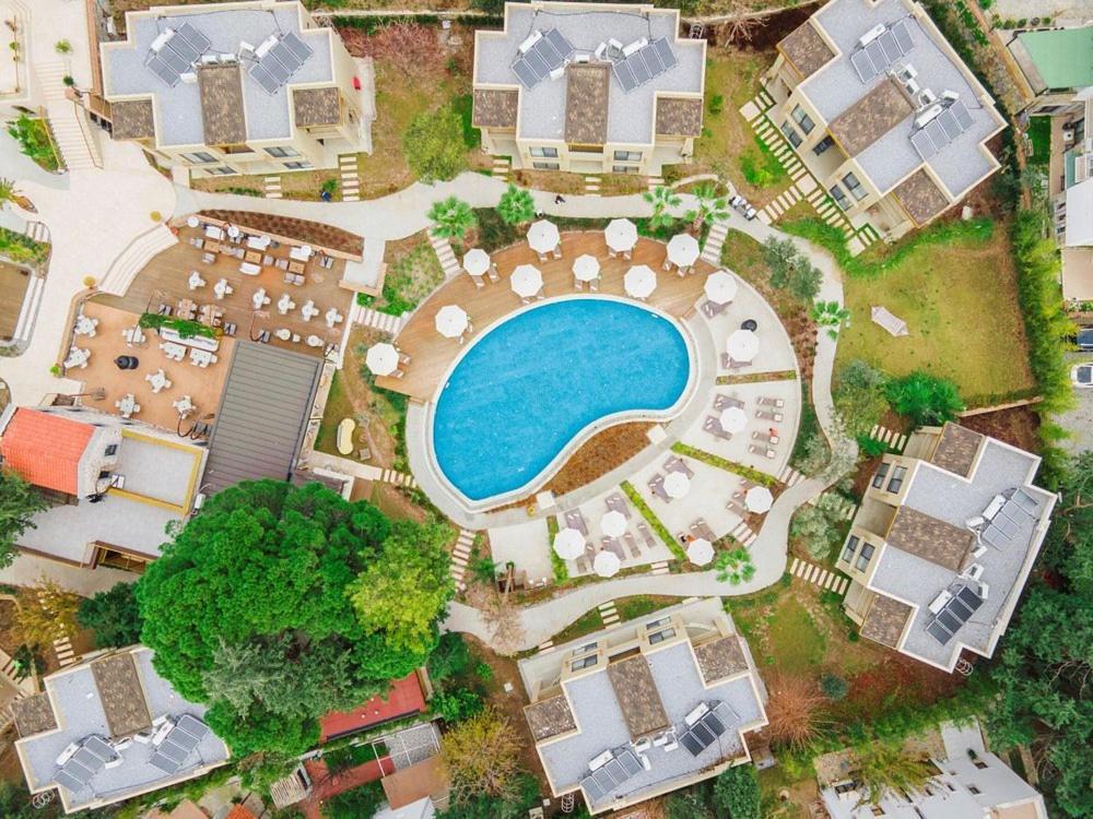 Renovu Premium