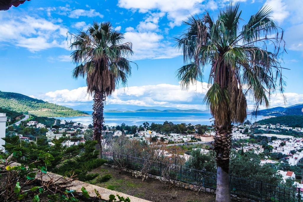 Ale Luxury Villas Villa Bodrum