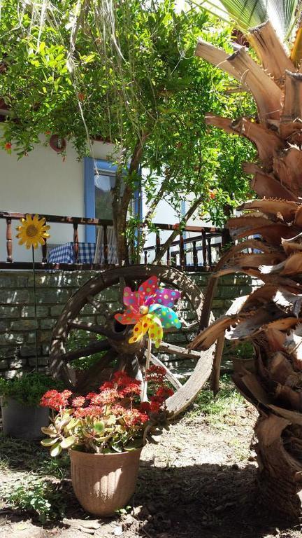 Aparthotel Alfa