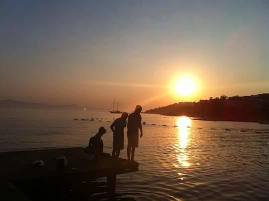 Alfa 3* Bodrum