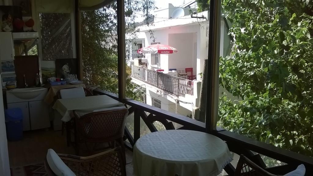 Homestay Senlik