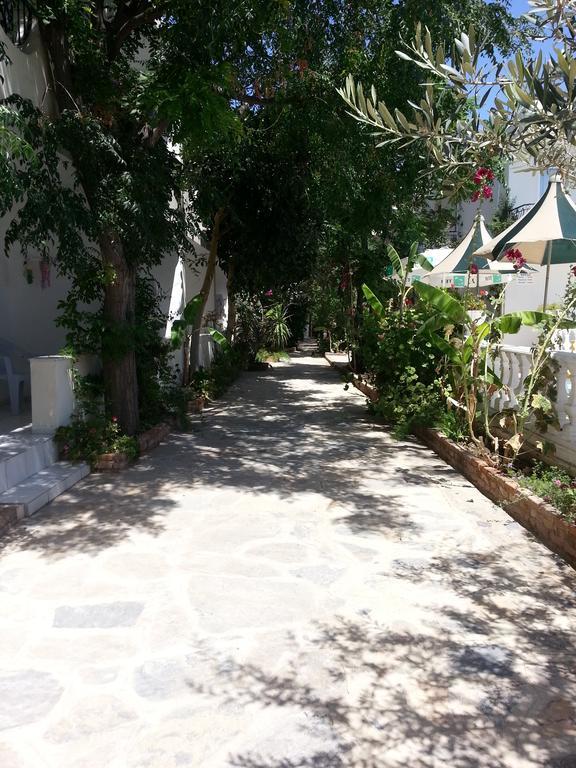 Florida 4* Bodrum
