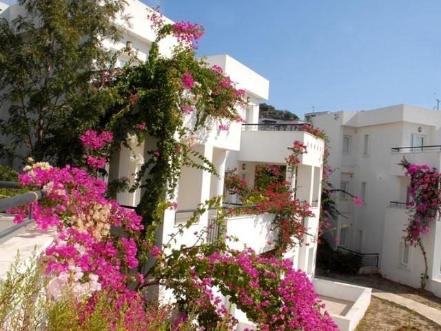 Club Pedalisa Apart 3* Bodrum