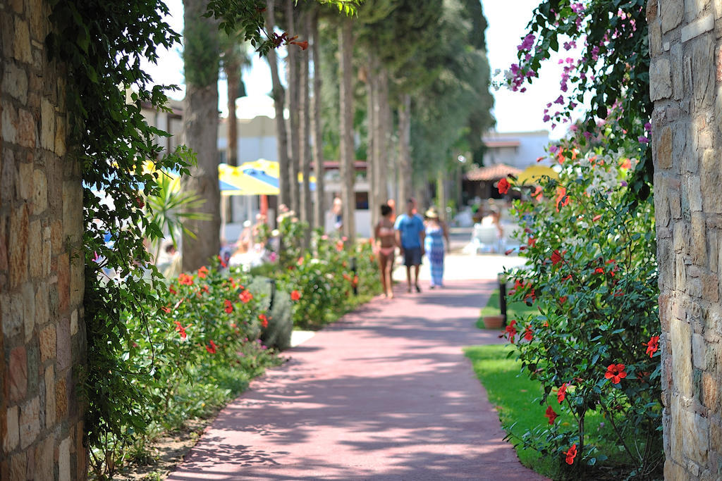 Bitez Garden Life - Bodrum