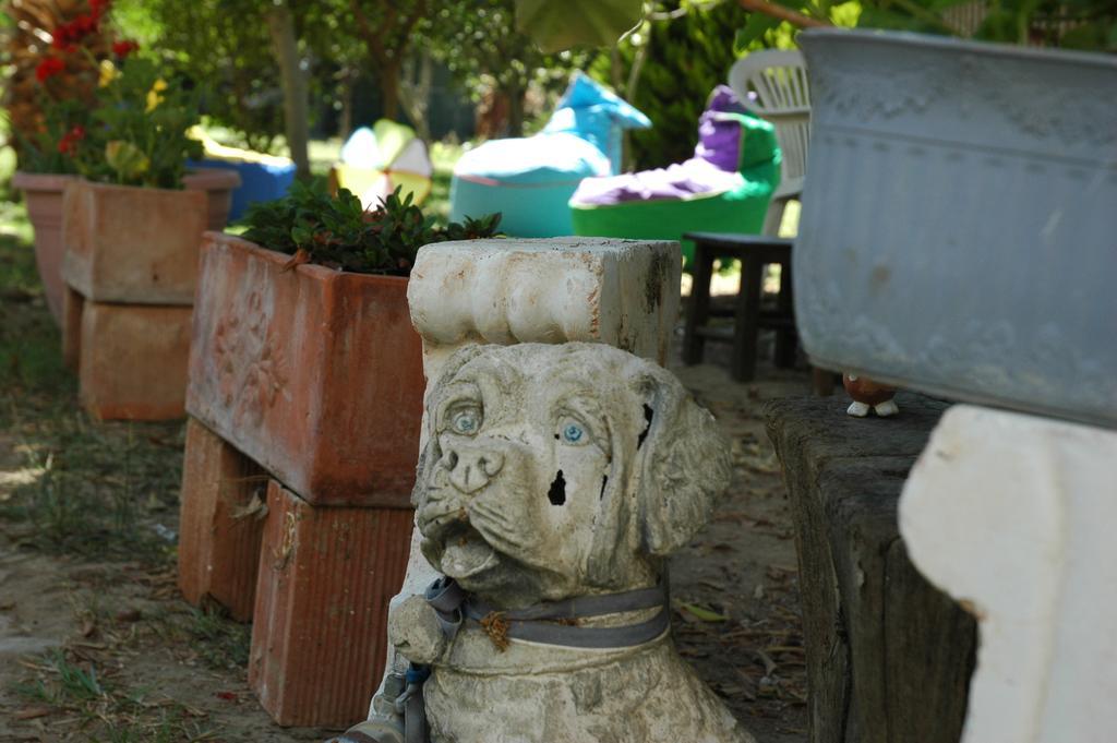 Alfa Bodrum