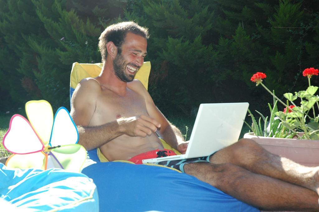 Alfa Bodrum