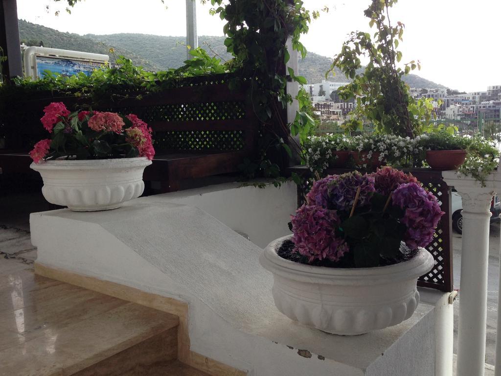 Acomodação com café da manhã  Pasha Bodrum
