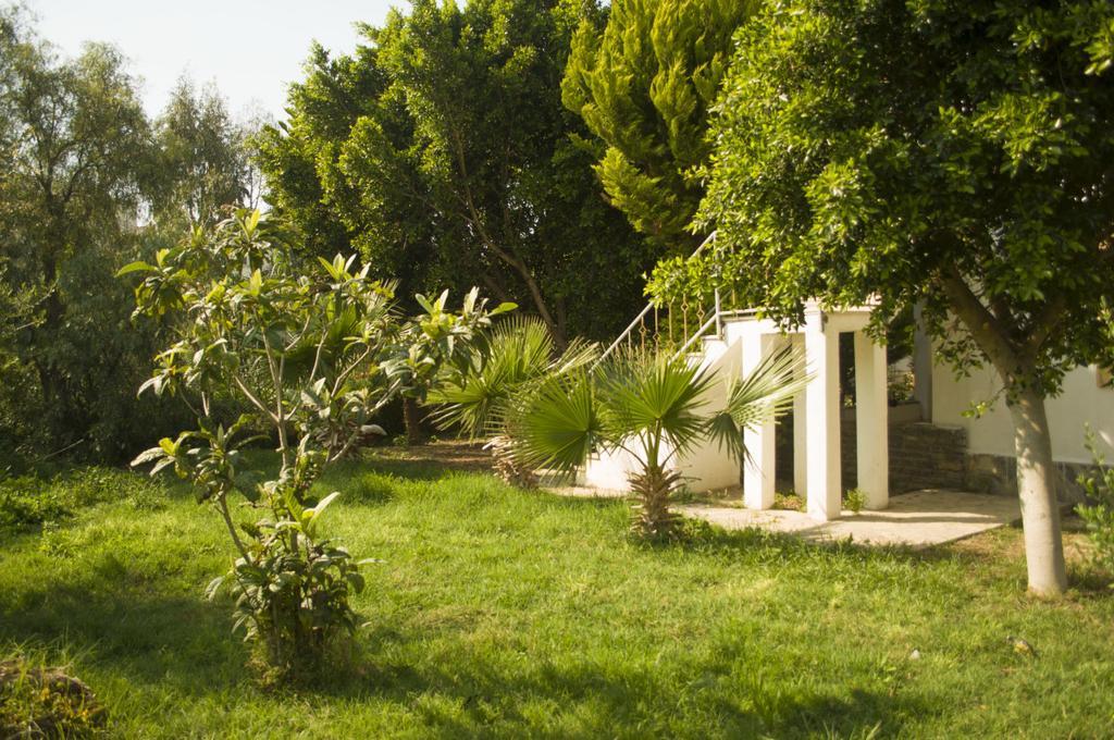 Alfa Bodrum